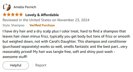 My Best Shampoo for Dry Hair and Frizz-Free Results