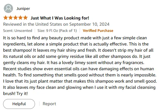 Best Natural Shampoo: My Soapberry Hair Magic Review