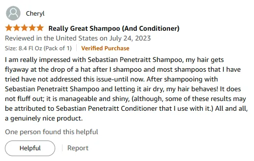 My Flyaway Hair Solved: Best Sebastian Shampoo Review